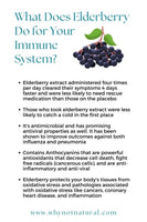 “The Trinity” Seamoss Blend (Burdock Root, Bladderwrack, Elderberry)
