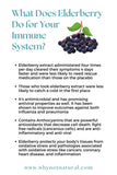 “The Trinity” Seamoss Blend (Burdock Root, Bladderwrack, Elderberry)