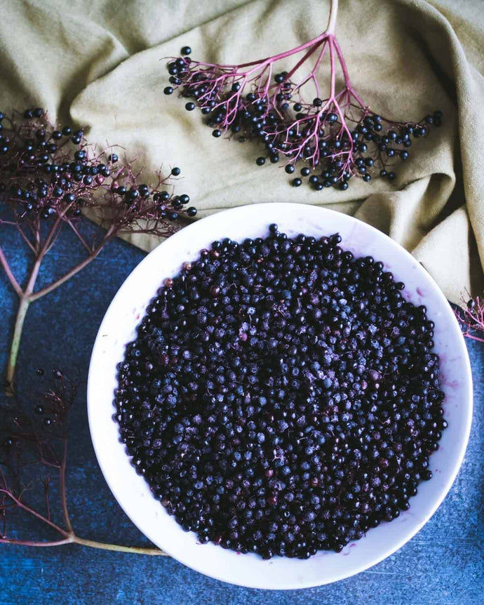“Elderberry” Add on (SeaMoss Gel)