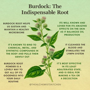 “Burdock Root” Add On (SeaMoss Gel)