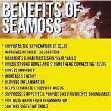RAW Wild Crafted Sea Moss… 2 oz Bag (YOU HAVE TO MAKE THE GEL ON YOUR OWN)