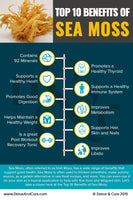 RAW Wild Crafted Sea Moss… 2 oz Bag (YOU HAVE TO MAKE THE GEL ON YOUR OWN)